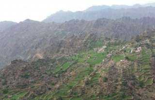 جريمة  اسرية جديدة يرتكبها الحوثي بجبل راس