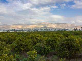 وادي شعيب