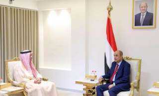 رئيس الوزراء يشيد بالدور المحوري لمجلس التعاون لدول الخليج العربية في دعم الحكومة