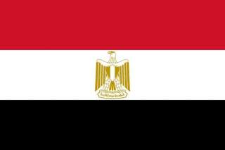 مصر تؤكد ثقتها في التعامل بحكمة مع التطورات في اليمن والحرص على تحقيق الاستقرار والحفاظ على سيادته