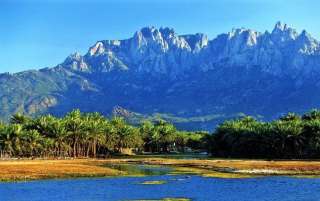 السفير جميح: ‏اليونسكو أرسلت بعثة رقابة إلى سقطرى بعد تقارير عن انتهاكات لمعاهدة حماية التراث العالمي