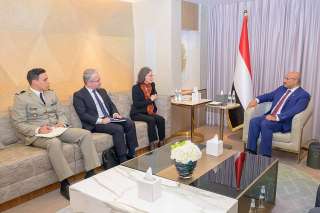 طارق صالح يبحث مع السفيرة الفرنسية جهود تثبيت الاستقرار وأمن الملاحة الدولية